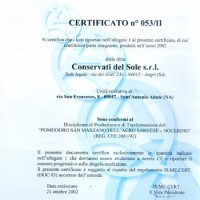 Certificato 4